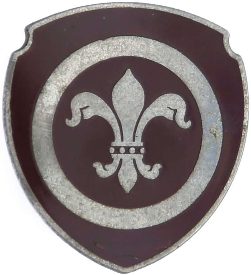 Type 1
